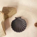 porte bijoux coquille